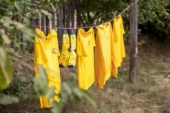 Easy Camp Spirit 300 Tunneltent - 3 Persoons - Groen -Buitenleven Winkel 1267 1900 waslijn