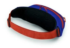 Osprey Daylite Heuptas - Blauw/Oranje -Buitenleven Winkel 1900 1425 daylitewaist s23 sideback silverliningblueberry 10005144