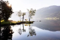 Amazonas Silk Traveller 1 Persoons Reishangmat - Techno -Buitenleven Winkel a181 16 op 01 resultaat